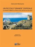 Un Piccolo Grande Ospedale. La sanità pubblica a Paola dal secolo XII ad oggi (eBook, ePUB)