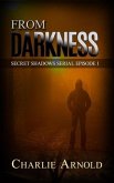 From Darkness (Secret Shadows Serial, #1) (eBook, ePUB)