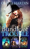 A Bundle of Trouble (The Lynlee Lincoln Series Books 1-3) (eBook, ePUB)