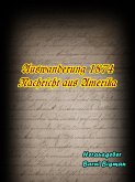 Auswanderung 1874 (eBook, ePUB)