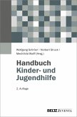 Handbuch Kinder- und Jugendhilfe (eBook, PDF)