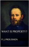 What is Property? (eBook, ePUB)