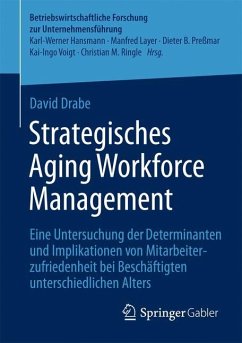 Strategisches Aging Workforce Management - Drabe, David