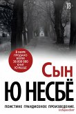 Сын (eBook, ePUB)