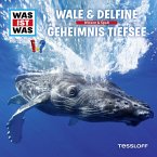 WAS IST WAS Hörspiel. Wale & Delfine / Geheimnis Tiefsee. (MP3-Download)