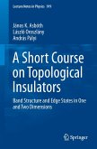 A Short Course on Topological Insulators