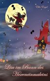 Lisa im Bann des Hexeneinmaleins (eBook, ePUB)