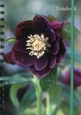 Notebook (Hellebore)