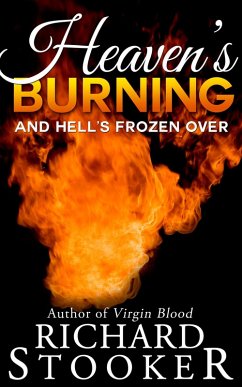 Heaven's Burning (eBook, ePUB) - Stooker, Richard