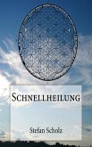 Schnellheilung (eBook, ePUB)