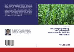 DNA fingerprinting, morphological identification of some maize lines