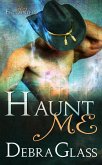 Haunt Me (Hot Encounters, #1) (eBook, ePUB)