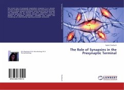 The Role of Synapsins in the Presynaptic Terminal