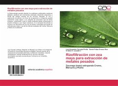 Rizofiltración con zea mays para extracción de metales pesados - Carvajal Pinilla, Luis Alexander;Orozco Roa, Daniel Felipe;Losada C., Cristian C.