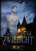 Gefangen im Zwielicht (eBook, ePUB)