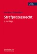 Strafprozessrecht: Rechtssystem und Anwendung (Rechtssystem und Rechtsanwendung)