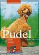 Pudel (eBook, ePUB) - Bild 1