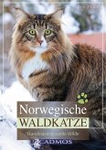 Norwegische Waldkatze (eBook, ePUB)