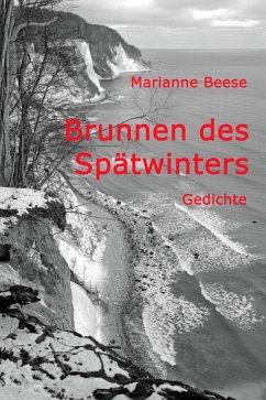 Cover Brunnen des Spätwinters (eBook, PDF)