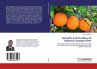 Growth and fruiting of Valencia orange... - Bild 1