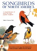 Songbirds of North America