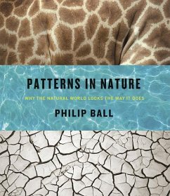 Patterns in Nature - Ball, Philip