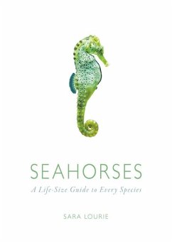 Seahorses - Lourie, Sara A