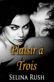 Plaisir à Trois (Vanessa, Catin Malgré Elle, #2) (eBook, ePUB)