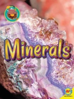 Minerals - Miller-Schroeder, Patricia