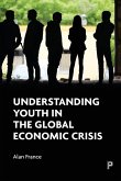 Understanding youth in the global economic crisis