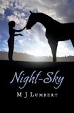 Night-Sky (eBook, ePUB)