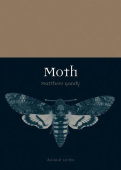 Moth - Gandy, Matthew