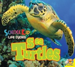 Sea Turtles - Carr, Aaron