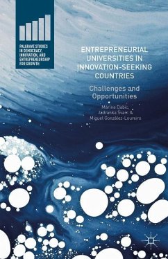 Entrepreneurial Universities in Innovation-Seeking Countries - Dabic, Marina;Svarc, Jadranka;González-Loureiro, Miguel