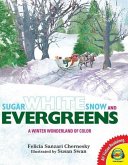 Sugar White Snow and Evergreens