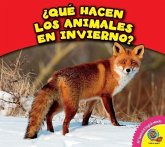 Que Hacen Los Animales En Invierno?