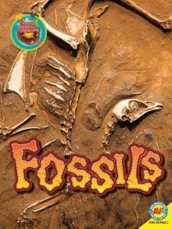 Fossils - Lappi, Megan