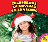 Celebramos La Navidad En Invierno