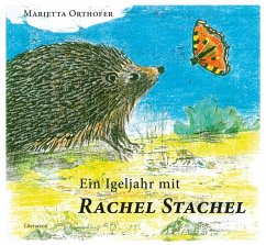 Ein Igeljahr mit Rachel Stachel - Orthofer, Marietta