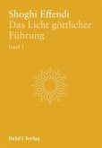 Das Licht göttlicher Führung, Bd. 1 (eBook, ePUB)