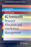 4G Femtocells (eBook, PDF)