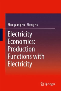 Electricity Economics: Production Functions with Electricity (eBook, PDF) - Hu, Zhaoguang; Hu, Zheng