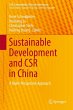 Sustainable Development and CSR in... - Bild 1