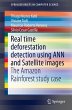 Real time deforestation detection using... - Bild 1
