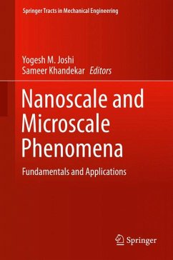 Nanoscale and Microscale Phenomena (eBook, PDF)