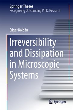Irreversibility and Dissipation in Microscopic Systems (eBook, PDF) - Roldán, Édgar