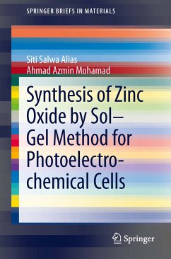 Synthesis of Zinc Oxide by Sol–Gel Method for Photoelectrochemical Cells (eBook, PDF) - Alias, Siti Salwa; Mohamad, Ahmad Azmin