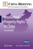 Intellectual Property Rights in China (eBook, PDF)