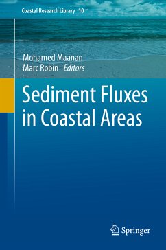 Sediment Fluxes in Coastal Areas (eBook, PDF)