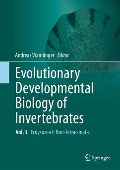 Cover Evolutionary Developmental Biology of Invertebrates 3 (eBook, PDF)